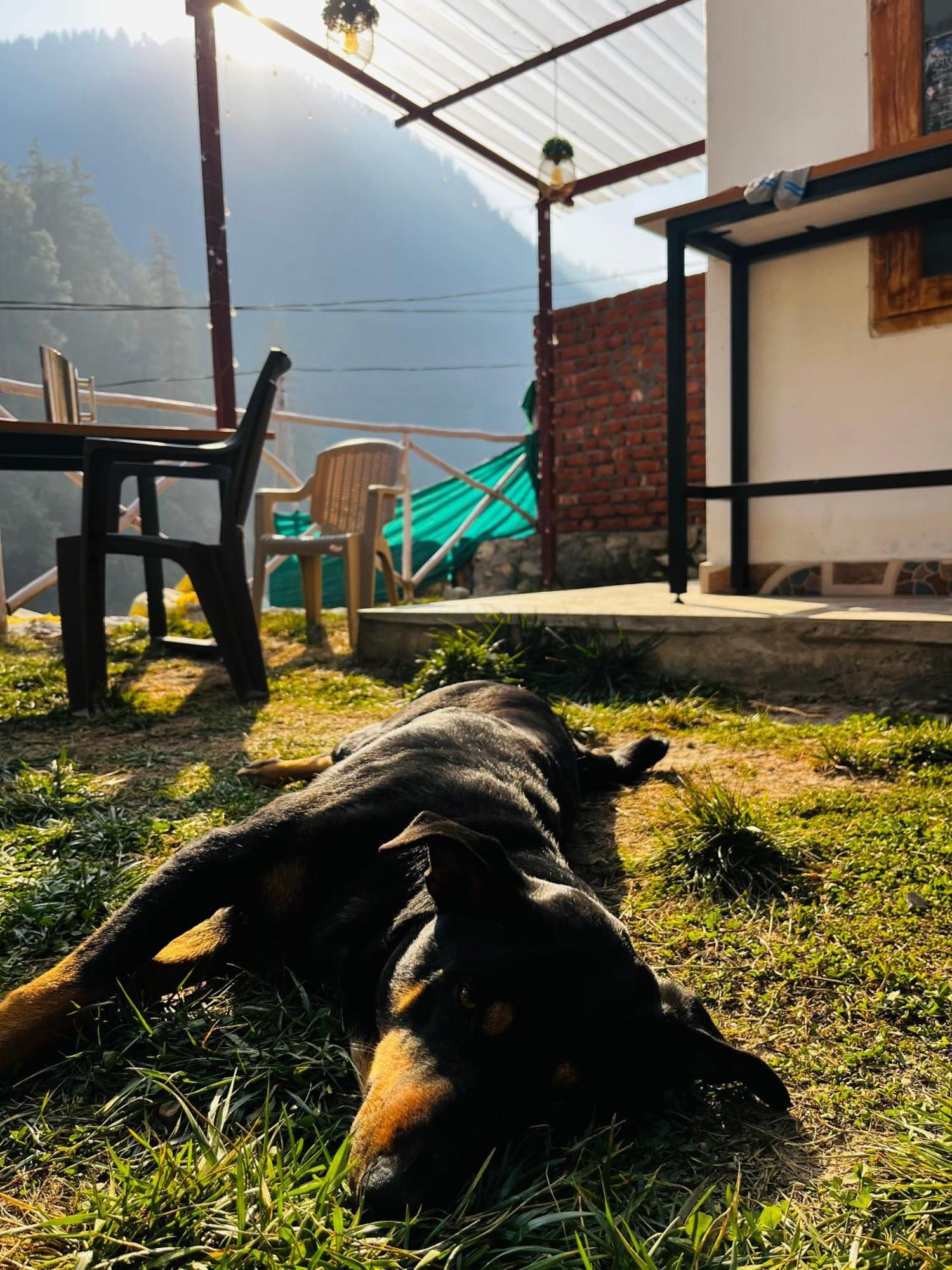 Hotel Adinova Kasol Zewnętrze zdjęcie