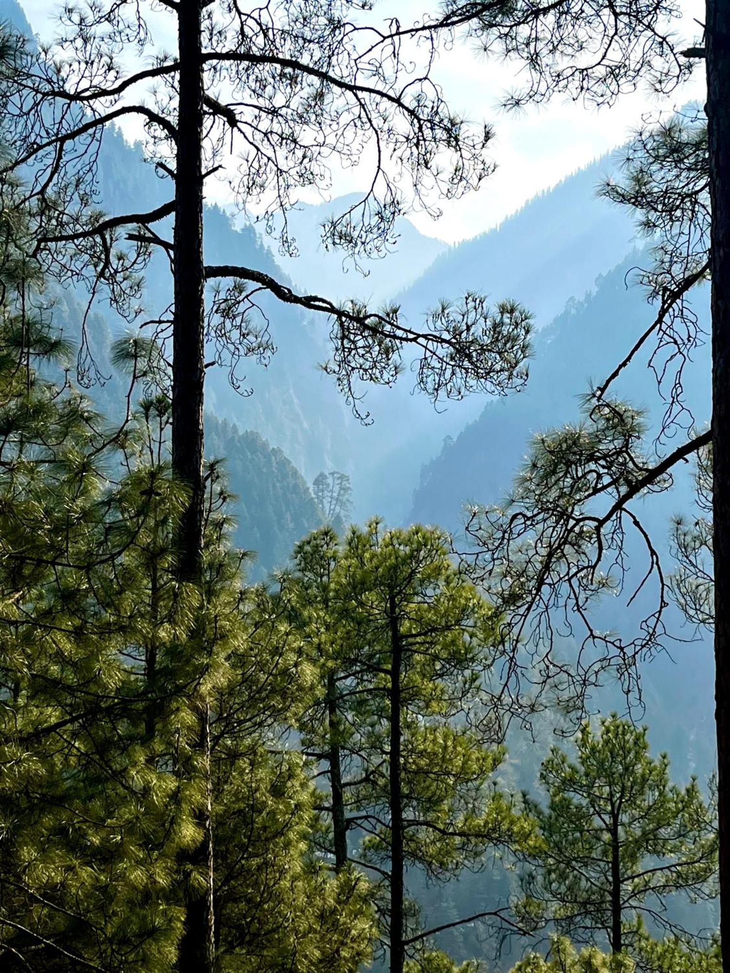 Hotel Adinova Kasol Zewnętrze zdjęcie